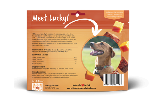 Foundation Outdoors Steak & Cheddar Cheese Bites Dog Treats