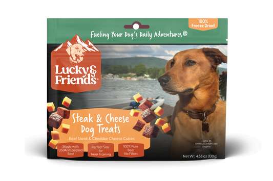 Foundation Outdoors Steak & Cheddar Cheese Bites Dog Treats