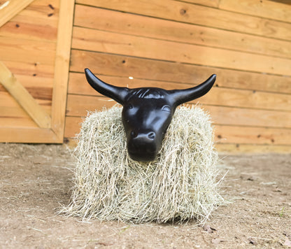 AJ Tack Adult 20" Horn Spread Steer Head Roping Dummy