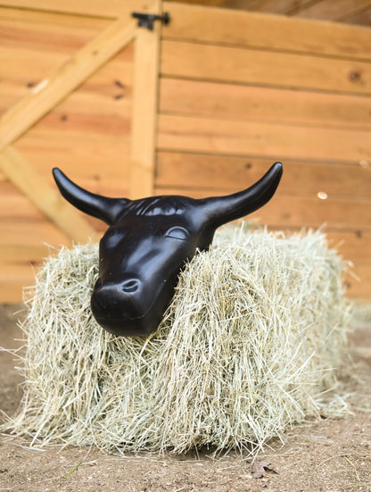 AJ Tack Adult 20" Horn Spread Steer Head Roping Dummy