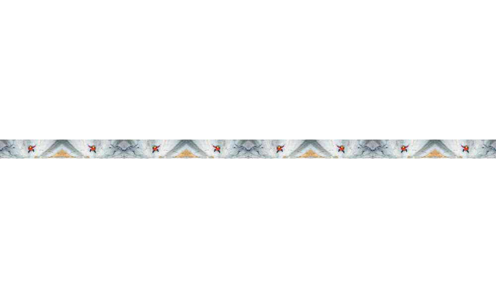 Cognito Brands Mountaincognito Big Wall Webbing Belt