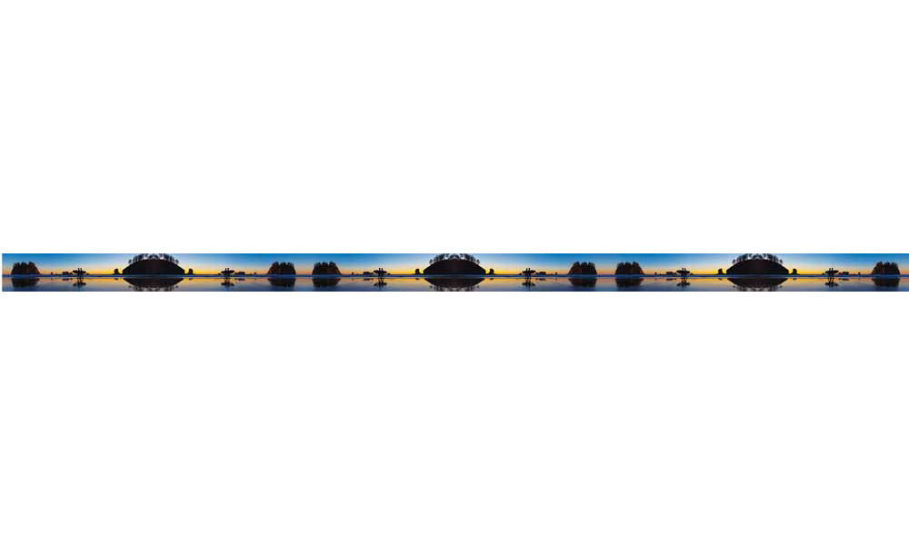 Cognito Brands Mountaincognito Two Surfers Webbing Belt