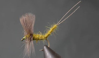 Stone Creek Extended Body Mayfly