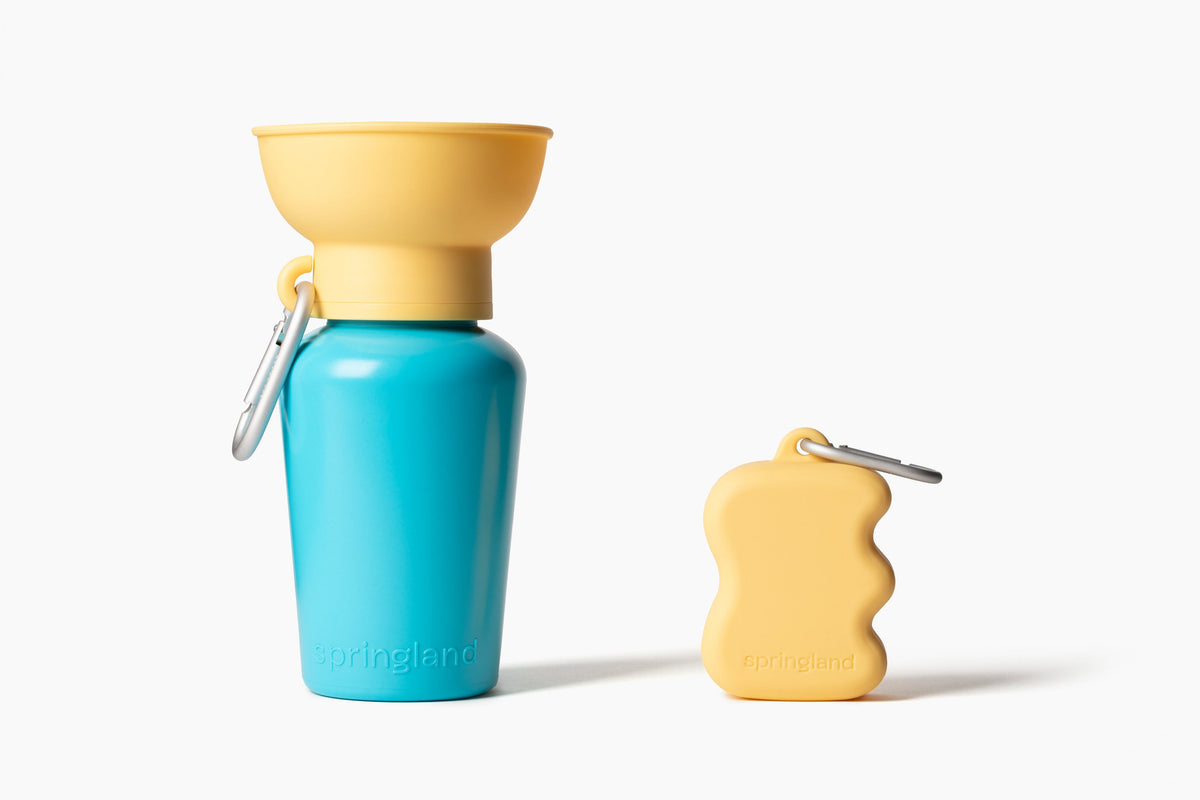 Springland Pets Silicone Dog Treat Dispenser