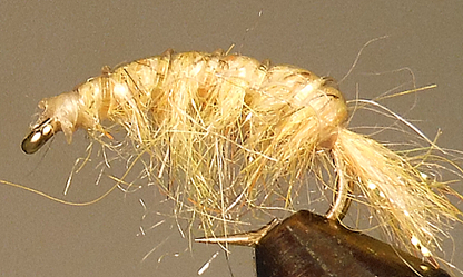 Stone Creek Molting Scuds