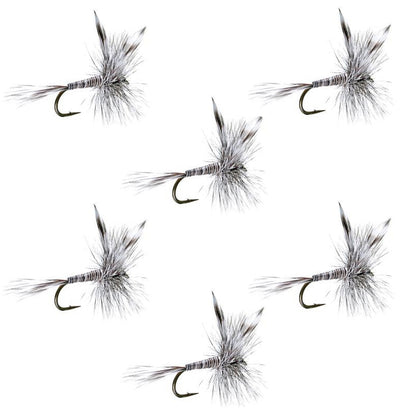 The Fly Fishing Place Mosquito Classic Trout Dry Fly - Set of 6 Flies Size 20