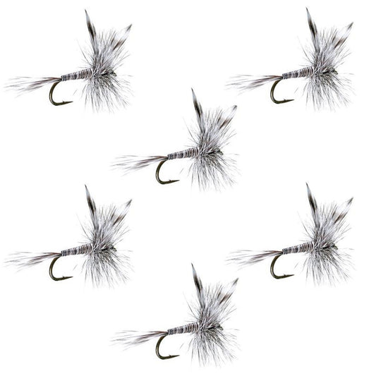 The Fly Fishing Place Mosquito Classic Trout Dry Fly - Set of 6 Flies Size 20