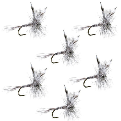 The Fly Fishing Place Barbless Mosquito Classic Trout Dry Fly Fishing  6 Flies - Hook Size 12
