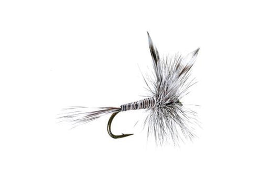 The Fly Fishing Place Mosquito Classic Trout Dry Fly - Set of 6 Flies Size 20