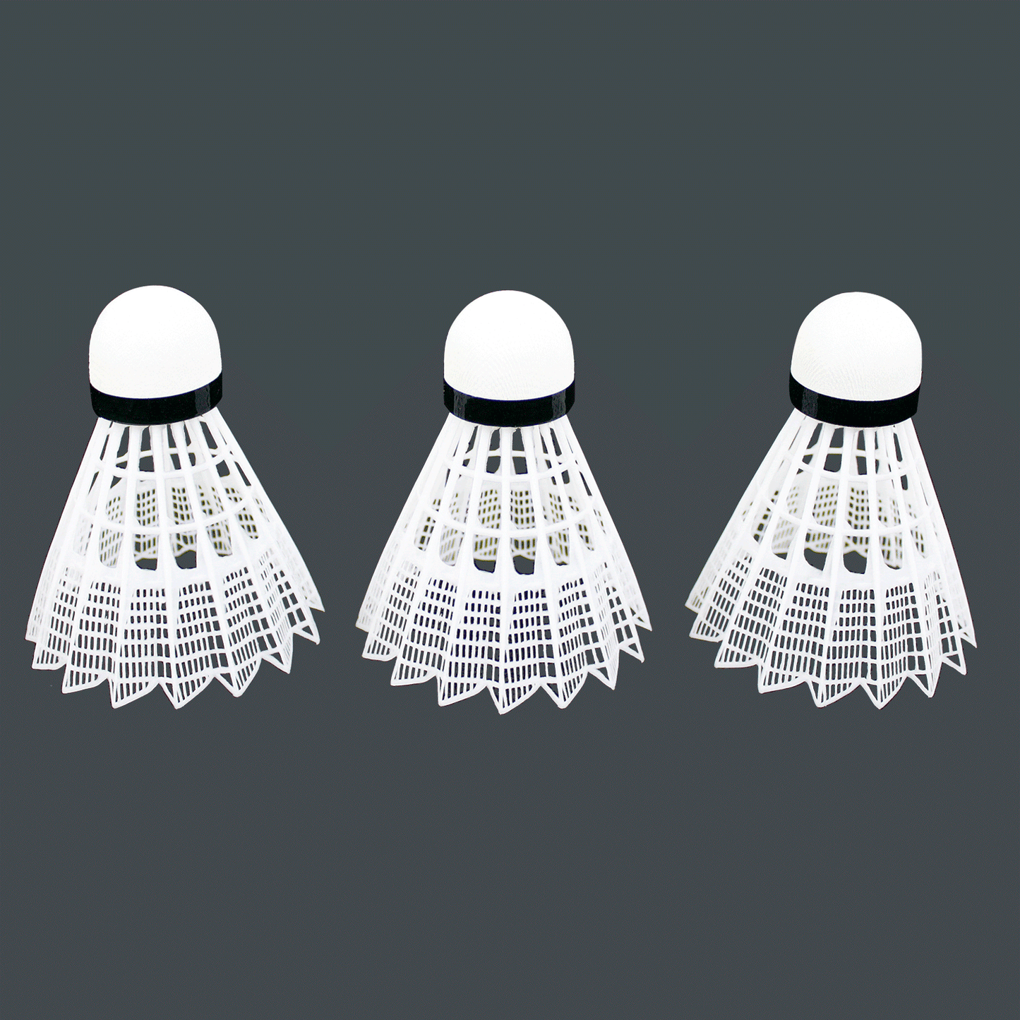 Baden Sports Champions Badminton Set