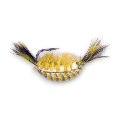 Kenders - Olive Green Tungsten Glow Natural Shrimp Series