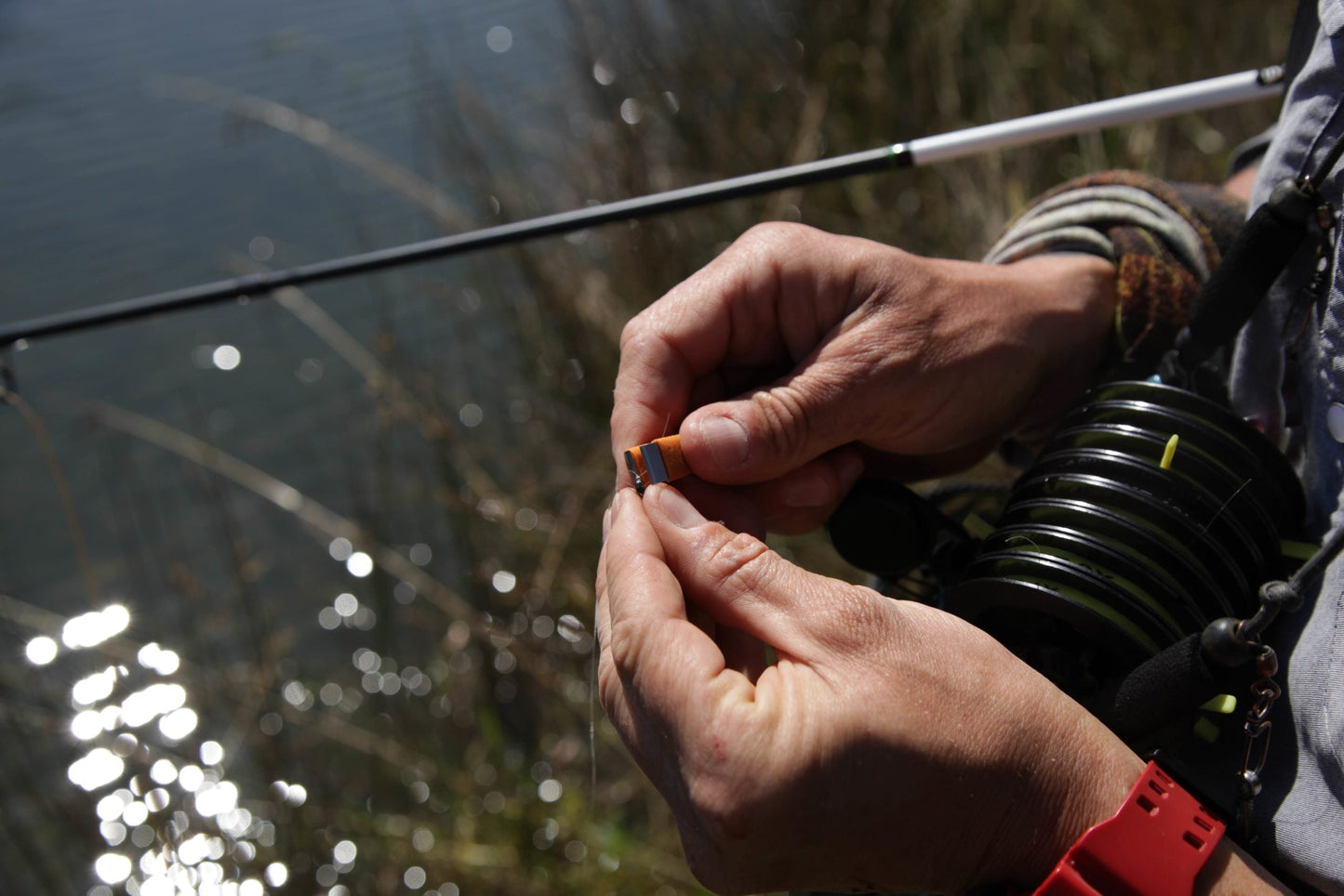 Rising Fishing Nippas