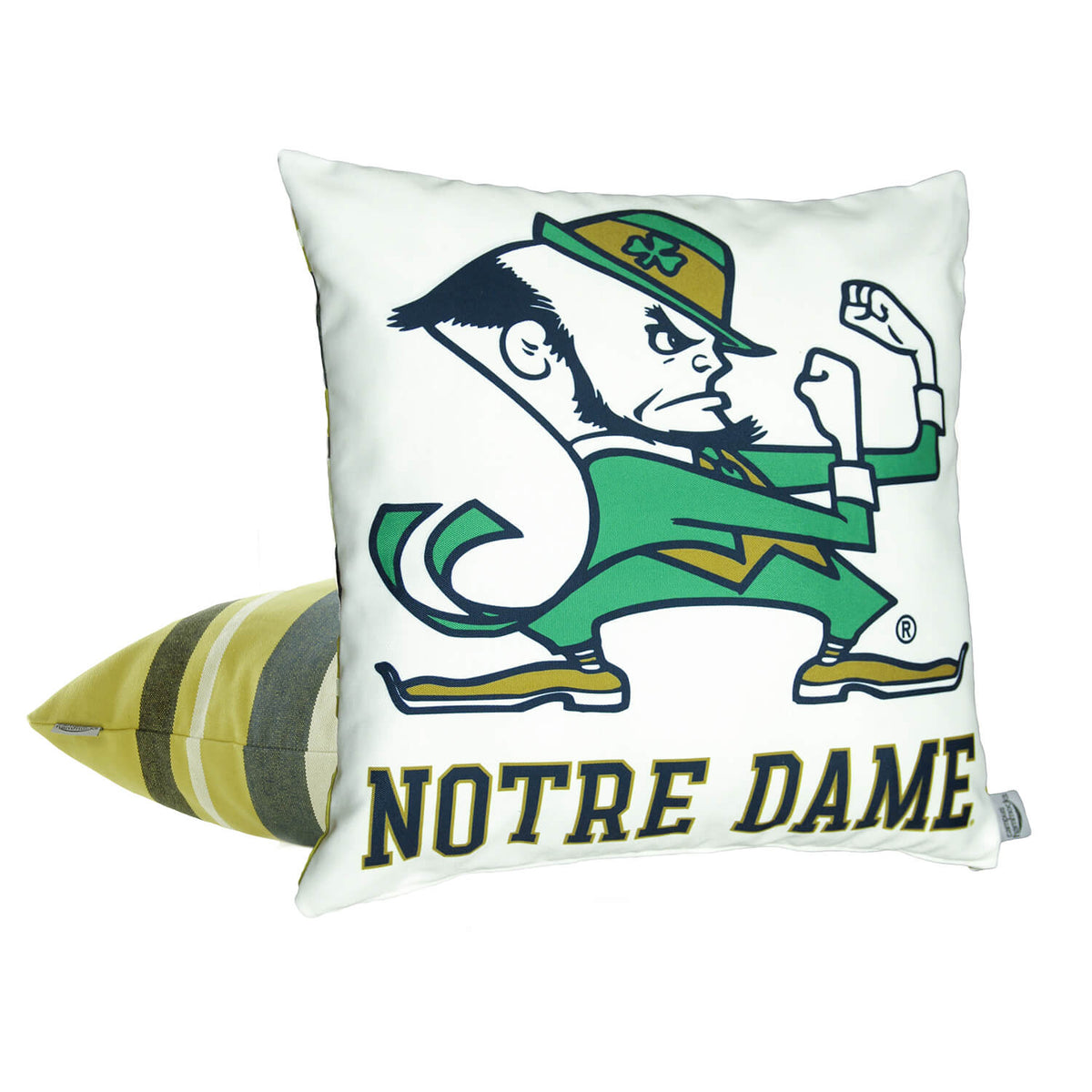 Campus Hammocks Notre Dame Fighting Irish Mascot Hammock Chair Swing