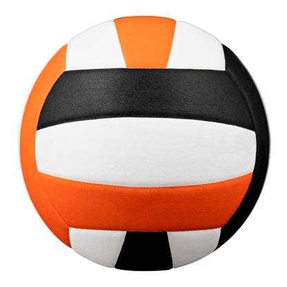 Baden Sports Perfection Leather Volleyball