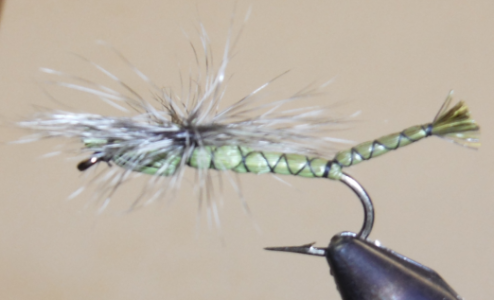 Stone Creek Parachute Damselfly