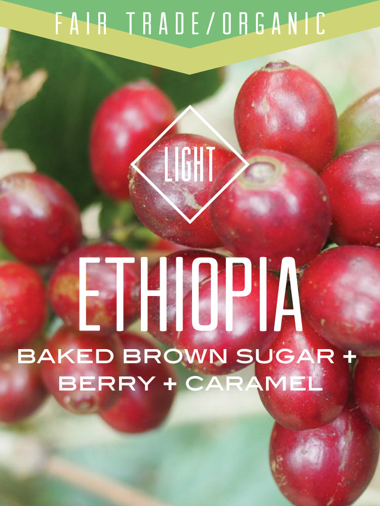 Centri Coffee Organic Fair Trade Ethiopia Oromia Natural