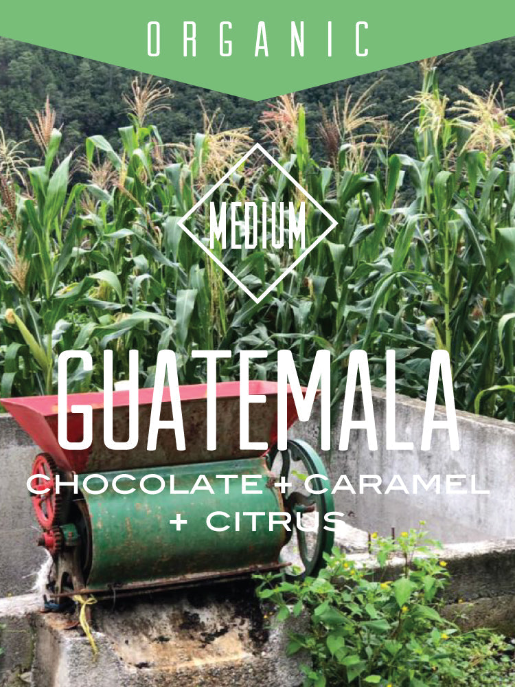 Centri Coffee Organic Guatemala Huehuetenango