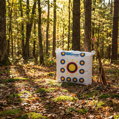 BIGshot Archery Outdoor Range Bag Target