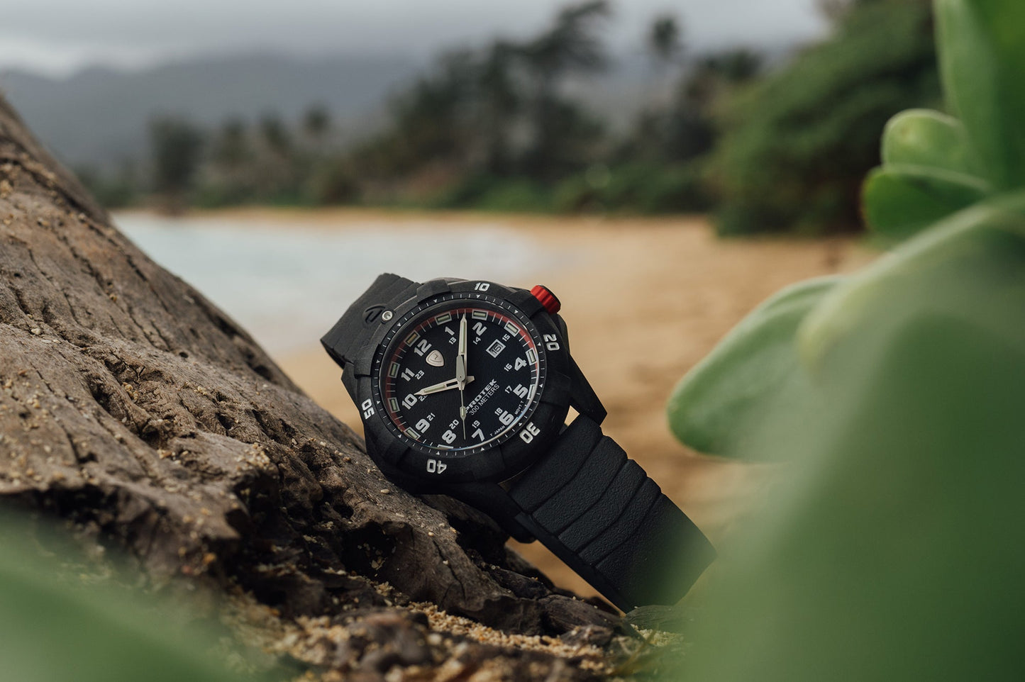 ProTek Watches Model PT1002