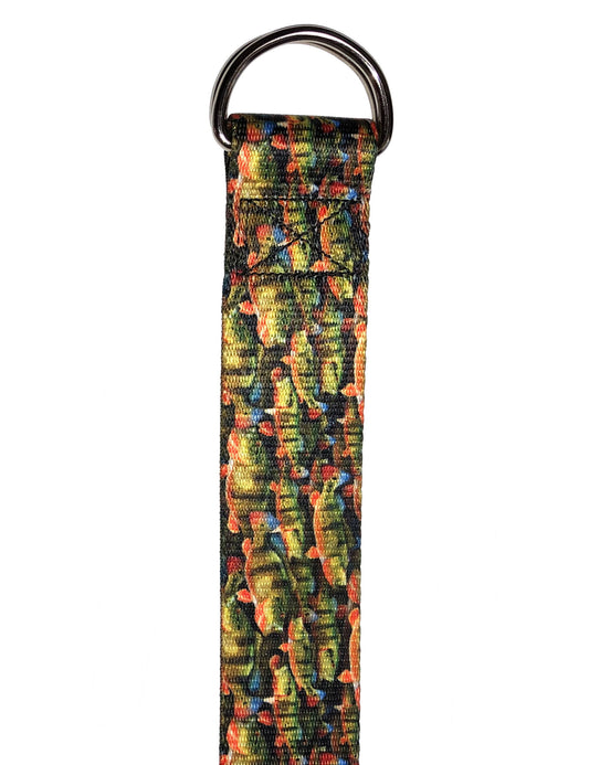 Cognito Brands Peacock Bass Webbing Belt