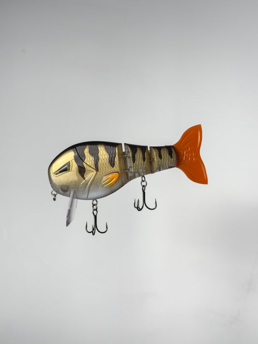 Throwback Baits "Perch" WakeWalker LT
