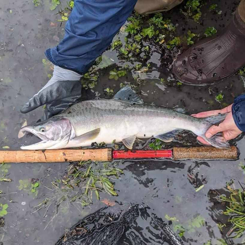 Wasatch Phoenix Rising Tenkara Rod