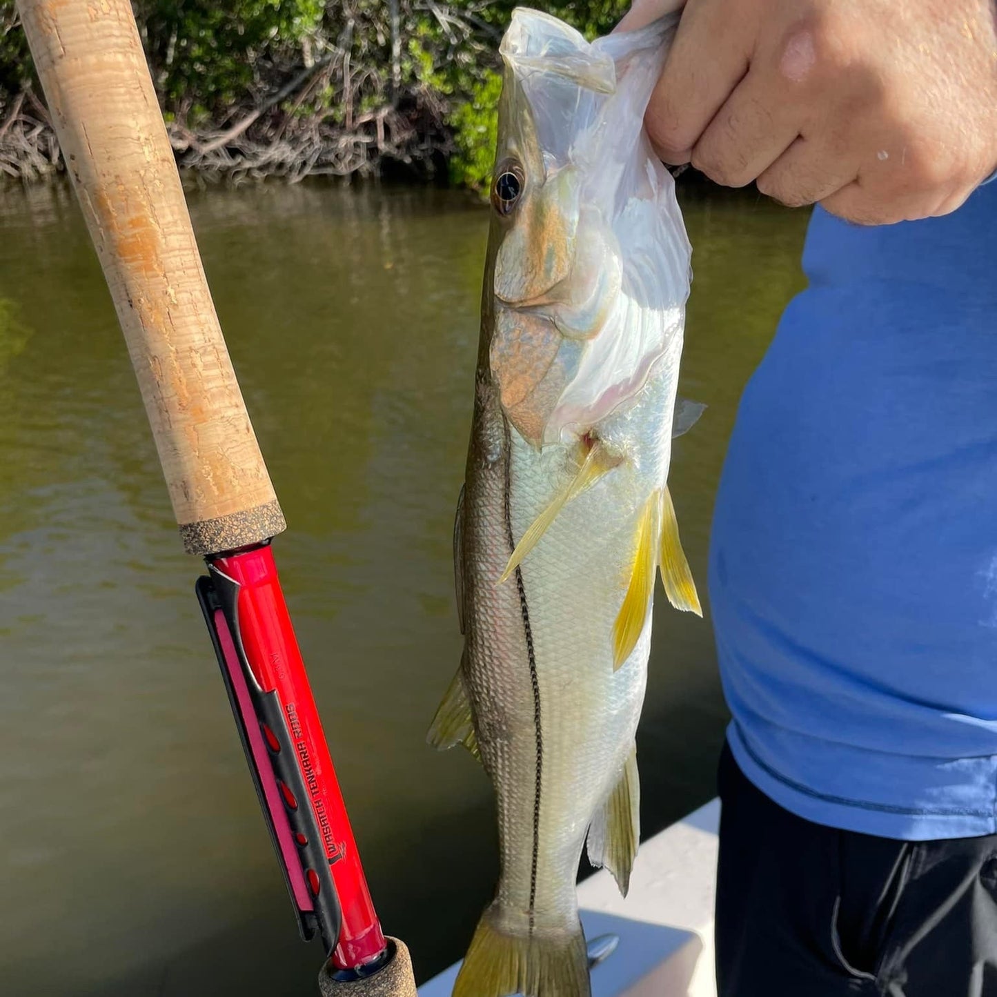 Wasatch Phoenix Rising Tenkara Rod