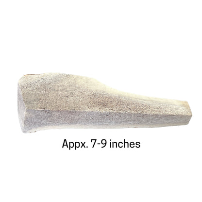 Jack’s Premium Elk Antlers