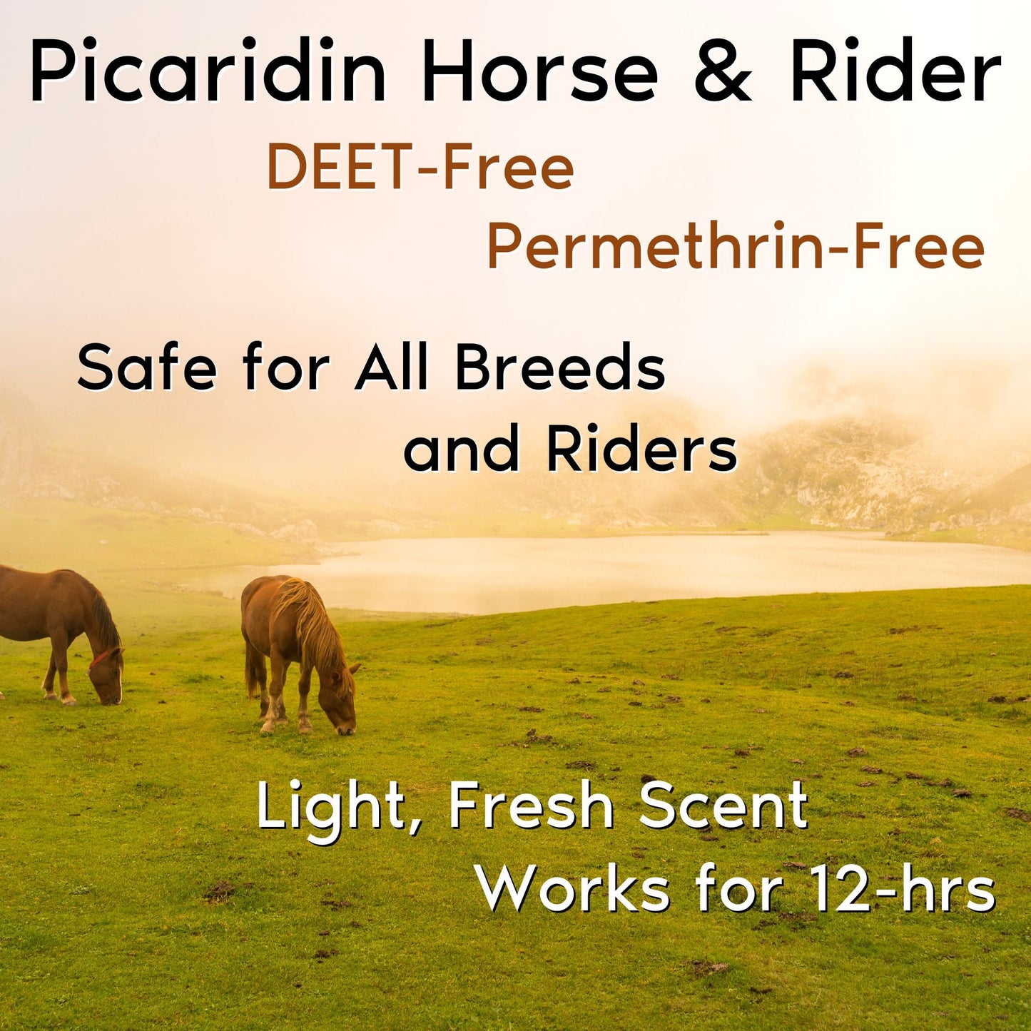 Zone Protects Horse & Rider Fly & Insect Repellent Continuous Spray