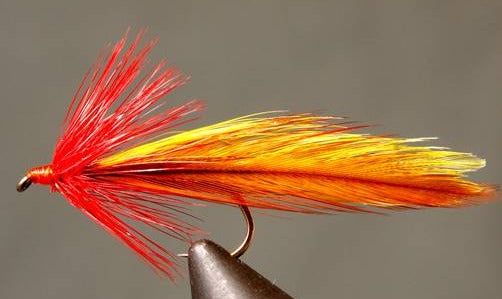 Stone Creek Platte River Special