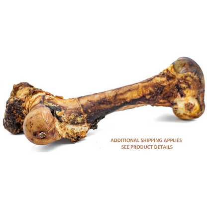 Bully Bunches - Monster Femur Bone