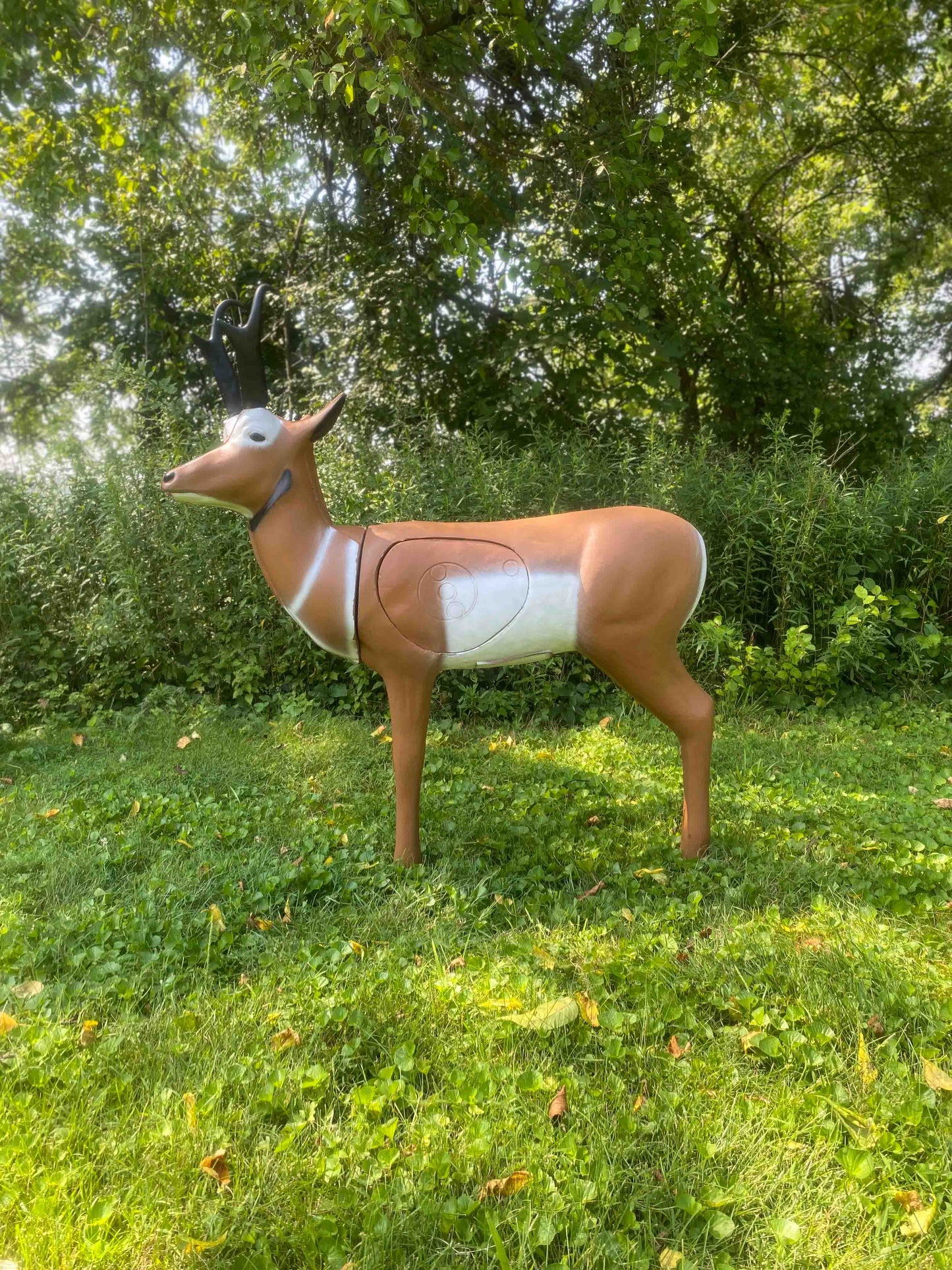 BIGshot Archery Real Wild 3D Pronghorn Antelope Archery Target with EZ Pull Foam