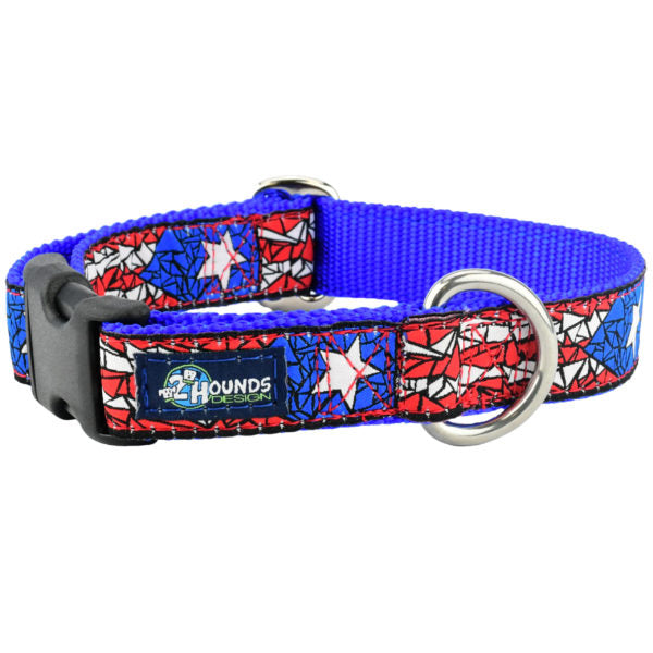 2 Hounds Design 1″ Puerto Rico Essential Buckle Martingale Dog Collar