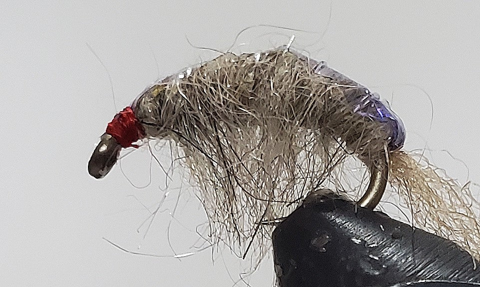 Stone Creek Molting Scuds