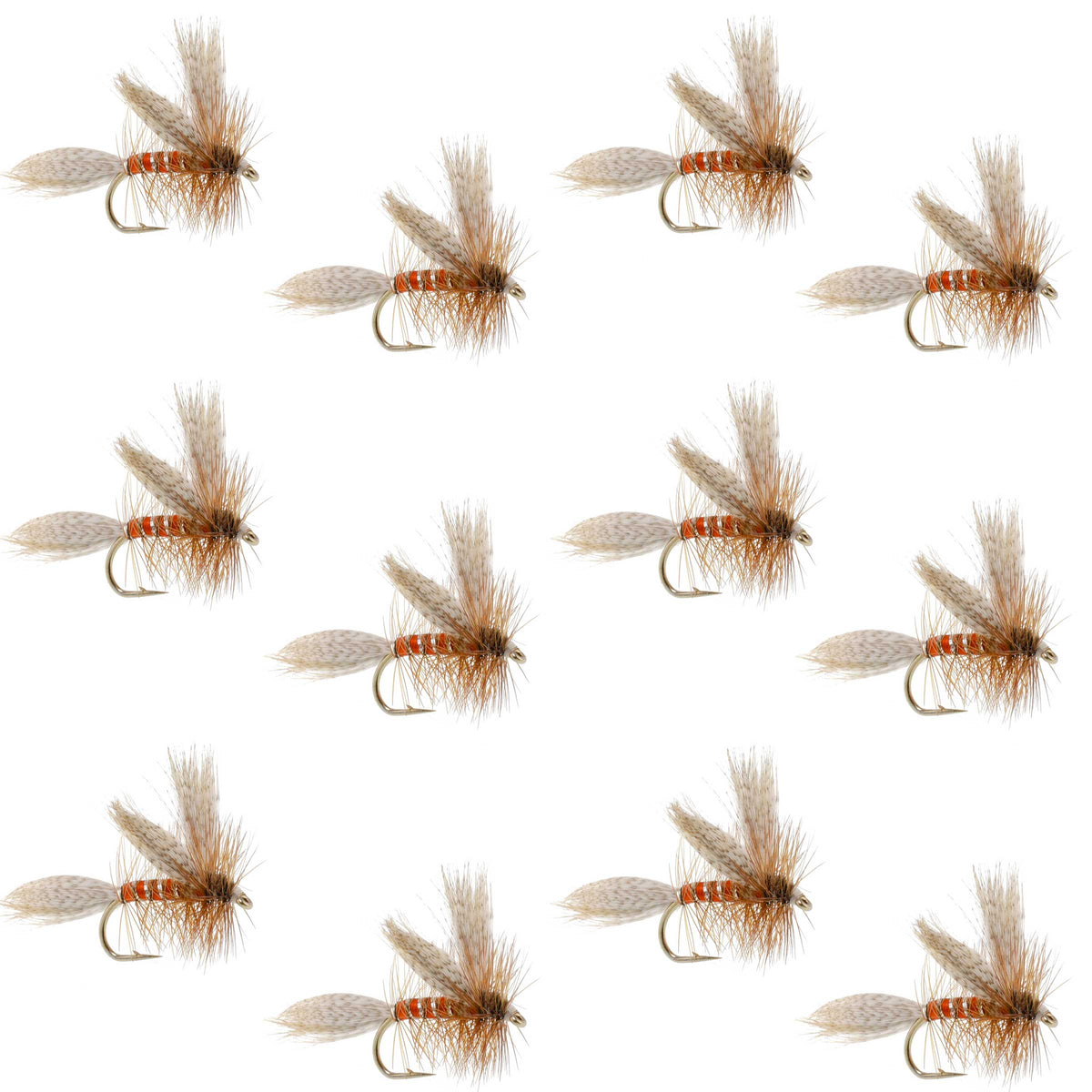 The Fly Fishing Place Queen Of The Waters Classic Dry Fly - 12 Flies Size 12