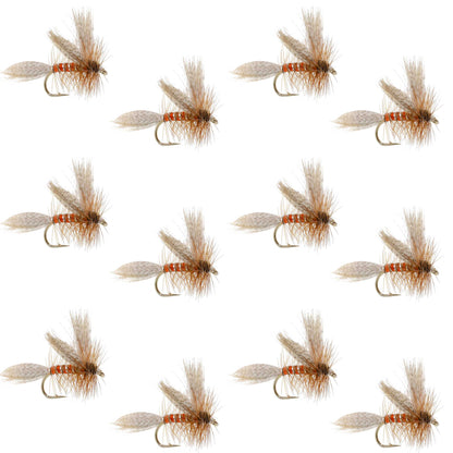 The Fly Fishing Place Queen Of The Waters Classic Dry Fly - 12 Flies Size 12