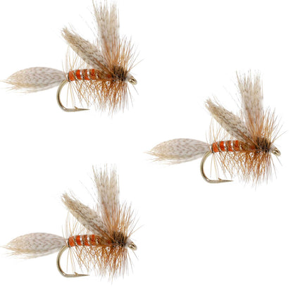 The Fly Fishing Place 3 Pack Queen Of The Waters Classic Dry Fly - Size 12