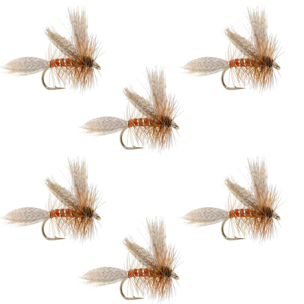 The Fly Fishing Place Queen Of The Waters Classic Dry Fly - 6 Flies Size 14