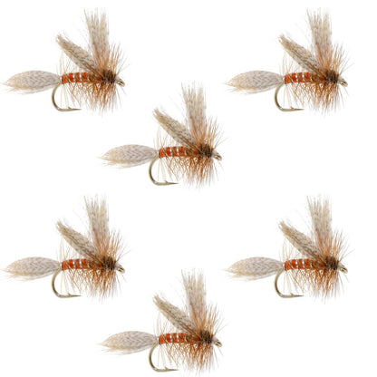The Fly Fishing Place Queen Of The Waters Classic Dry Fly - 6 Flies Size 14