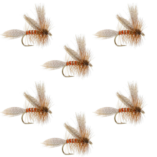 The Fly Fishing Place Queen Of The Waters Classic Dry Fly - 6 Flies Size 14
