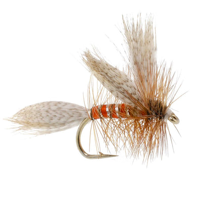 The Fly Fishing Place 3 Pack Queen Of The Waters Classic Dry Fly - Size 14