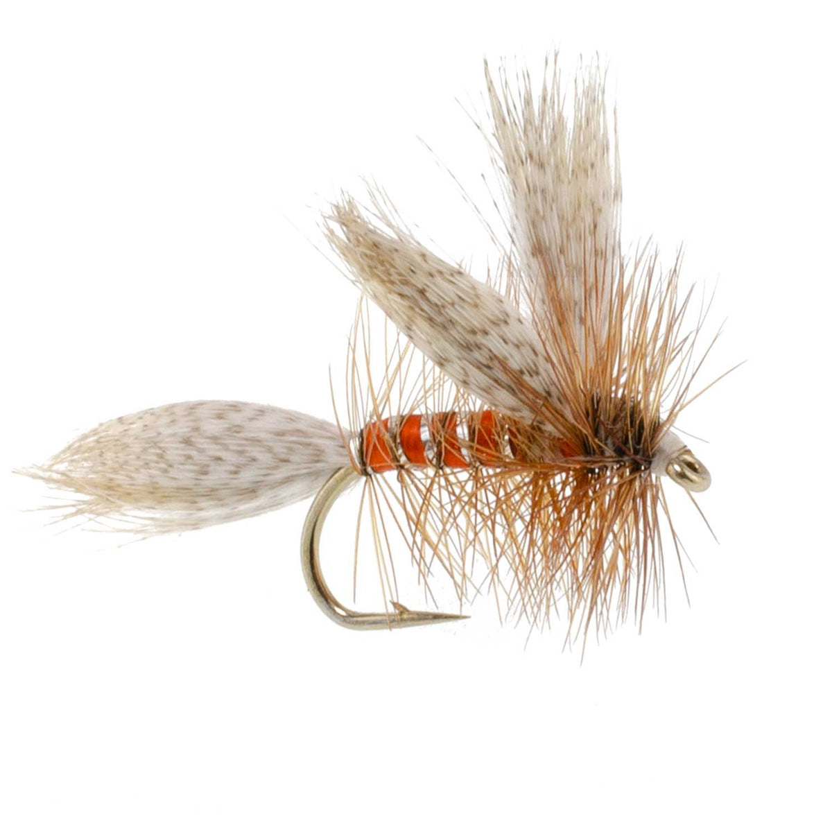 The Fly Fishing Place Queen Of The Waters Classic Dry Fly - 12 Flies Size 14