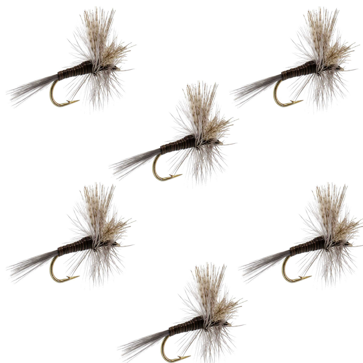 The Fly Fishing Place Quill Gordon Classic Dry Fly - 6 Flies Size 16