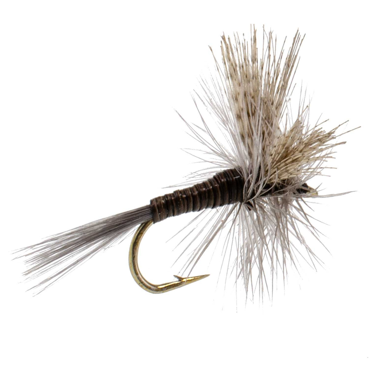 The Fly Fishing Place Quill Gordon Classic Dry Fly - 6 Flies Size 16