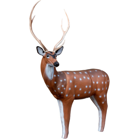 BIGshot Archery X-Ray Series Axis Deer