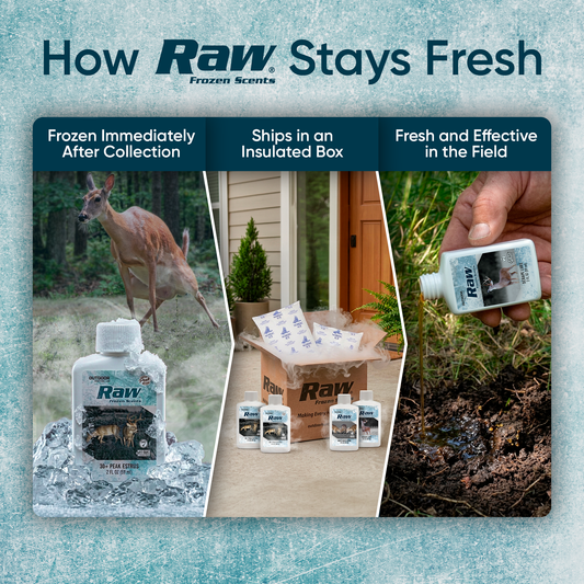 Outdoor Hunting Lab Deer Society Rut Package - Buy 5 Bottles Get 6 Free