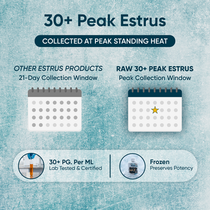 Outdoor Hunting Lab Early Season Pro Packs