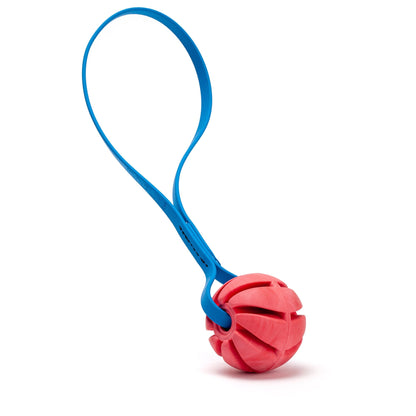 Dogline Rubber Spiral Ball with Biothane Handle
