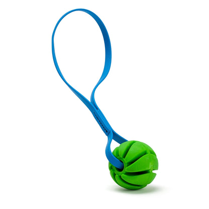 Dogline Rubber Spiral Ball with Biothane Handle