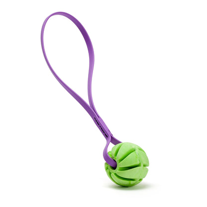 Dogline Rubber Spiral Ball with Biothane Handle